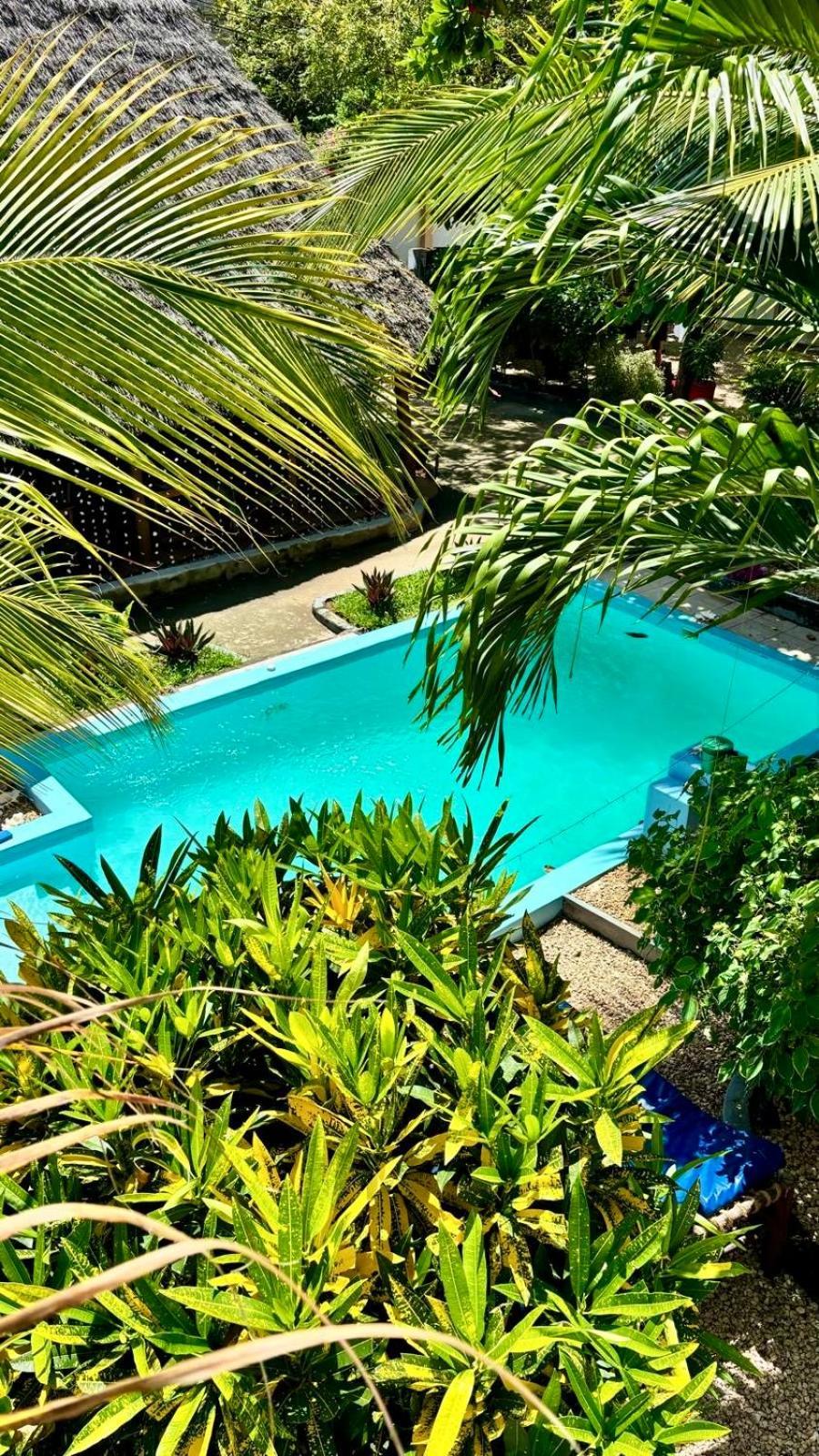Kilimanjaro Bed and Breakfast Nungwi Buitenkant foto
