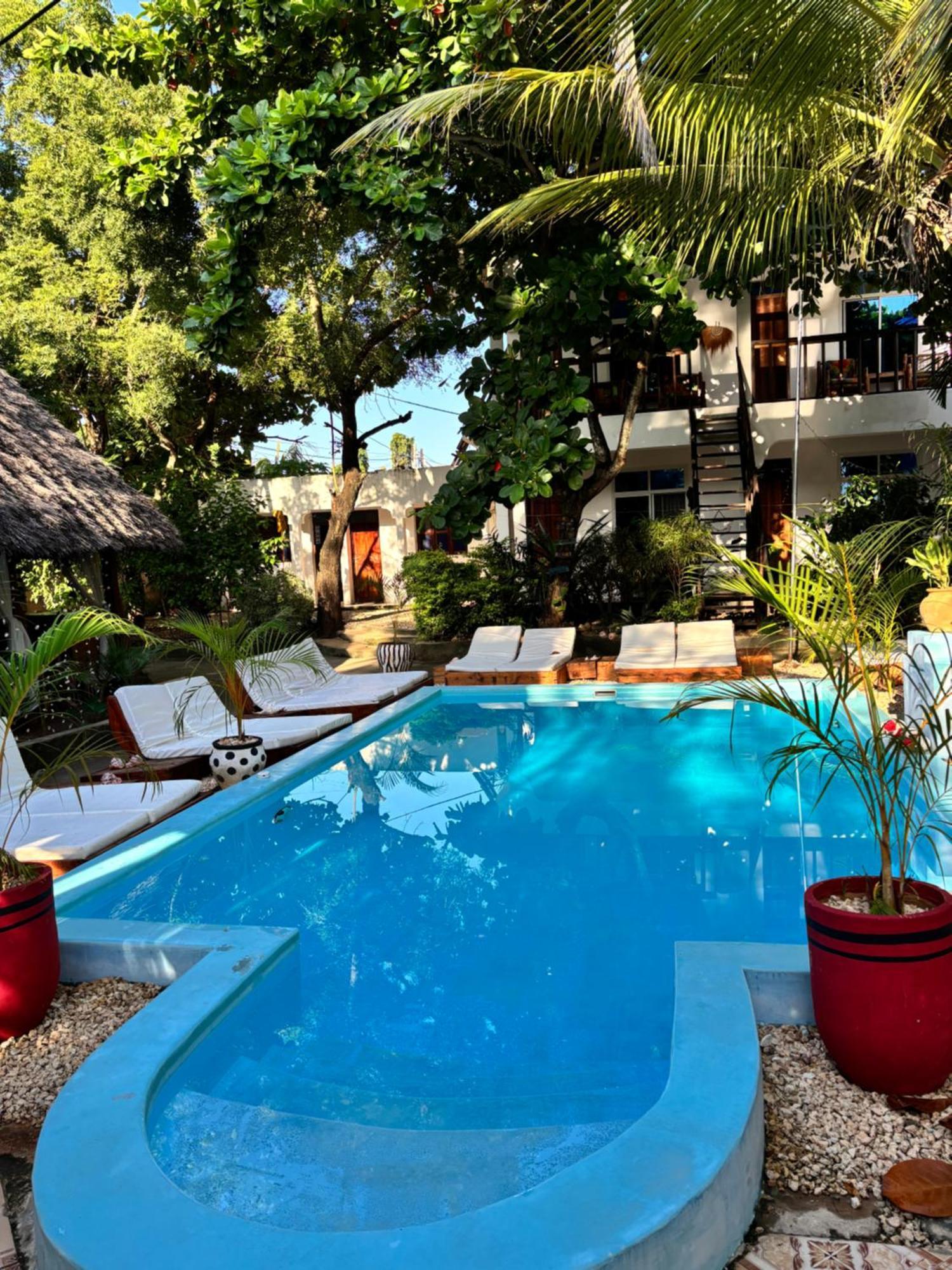 Kilimanjaro Bed and Breakfast Nungwi Buitenkant foto